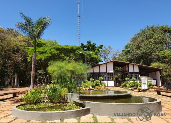 Leia mais sobre o artigo Jardim Botânico de Brasília